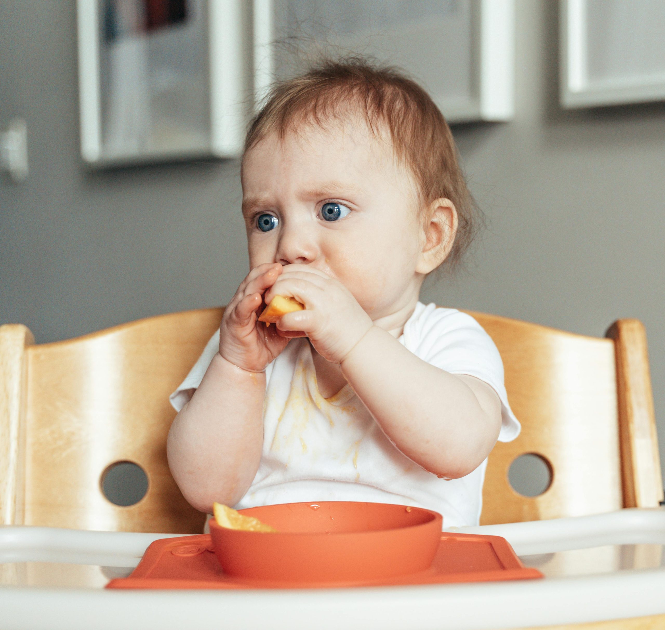 25 Easy Baby-Led Weaning Recipes Your Baby Will Actually Eat