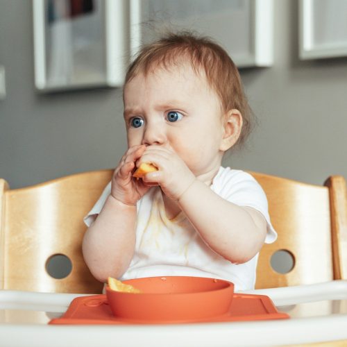 25 Easy Baby-Led Weaning Recipes Your Baby Will Actually Eat